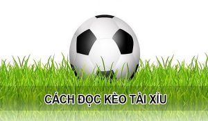 Cách đặt kèo tài xỉu