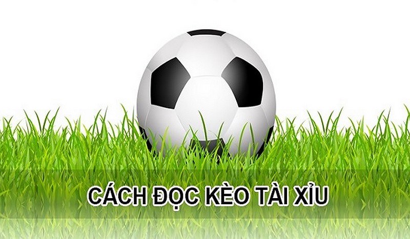 Cách đặt kèo tài xỉu