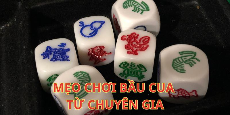 Mẹo chơi bầu cua